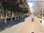 辽宁省,朝阳市,龙城区,半拉山街道,半拉山村