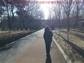 辽宁省,朝阳市,龙城区,半拉山街道,半拉山村