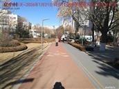 辽宁省,朝阳市,龙城区,半拉山街道,半拉山村