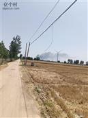 河北省,衡水市,安平县,大子文乡,邢郭庄村