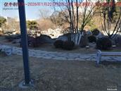 辽宁省,朝阳市,龙城区,半拉山街道,半拉山村