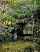 河南省,洛阳市,洛龙区,李村镇,苇园村