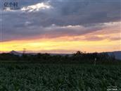 陕西省,咸阳市,礼泉县,阡东镇,力士村