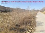 辽宁省,朝阳市,龙城区,半拉山街道,半拉山村