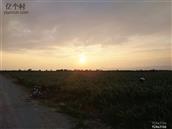 陕西省,咸阳市,礼泉县,阡东镇,力士村