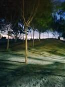 四川省,广元市,朝天区,柏杨乡,东升村