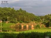 湖南省,株洲市,渌口区,朱亭镇,排楼村