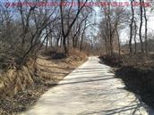 辽宁省,朝阳市,龙城区,半拉山街道,半拉山村