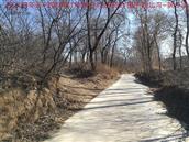 辽宁省,朝阳市,龙城区,半拉山街道,半拉山村