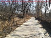 辽宁省,朝阳市,龙城区,半拉山街道,半拉山村