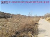 辽宁省,朝阳市,龙城区,半拉山街道,半拉山村