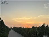 河南省,周口市,太康县,龙曲镇,幼学李村