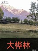 青海省,海东地区,互助县,东和乡,大桦林村