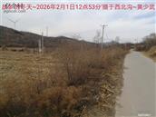 辽宁省,朝阳市,龙城区,半拉山街道,半拉山村