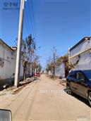 河北省,邢台市,巨鹿县,官亭镇,北贾庄村