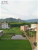 广西,贺州市,八步区,贺街镇,龙马村