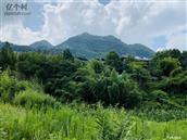 贵州省,遵义市,桐梓县,楚米镇,楚蔬社区