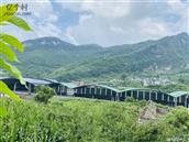 贵州省,遵义市,桐梓县,楚米镇,楚蔬社区