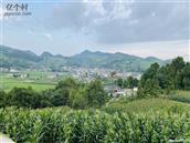 贵州省,遵义市,桐梓县,九坝镇,槐子村