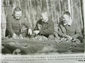 四川省,广元市,昭化区,射箭乡,笔架村