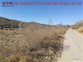 辽宁省,朝阳市,龙城区,半拉山街道,半拉山村