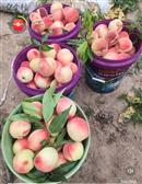 甘肃省,临夏州,永靖县,盐锅峡镇,福川村