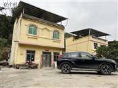 广西,百色市,田林县,六隆镇,粉屯村