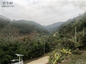 广西,百色市,田林县,六隆镇,粉屯村