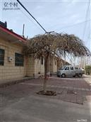 陕西省,渭南市,合阳县,路井镇,崔李杨村