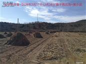 辽宁省,朝阳市,龙城区,半拉山街道,半拉山村