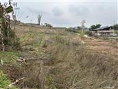 四川省,达州市,达川区,花红乡,梓桐观村