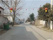 山东省,聊城市,莘县,张寨镇,张庄村