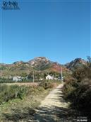 山东省,烟台市,龙口市,石良镇,水夼村