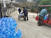 四川省,巴中市,平昌县,元山镇,张公社区