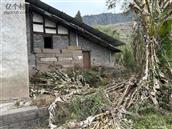 四川省,达州市,达川区,花红乡,梓桐观村