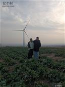 陕西省,渭南市,合阳县,和家庄镇,东马村