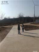 陕西省,渭南市,合阳县,和家庄镇,东马村