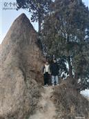 陕西省,渭南市,合阳县,和家庄镇,东马村