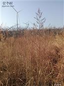 陕西省,渭南市,合阳县,和家庄镇,东马村