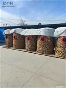 山东省,德州市,庆云县,东辛店镇,小孙村