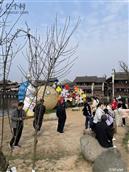 四川省,广安市,邻水县,龙安镇,天鹅村