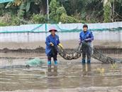 广东省,韶关市,始兴县,沈所镇,石内村