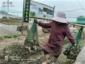 广东省,韶关市,始兴县,沈所镇,石内村