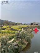 四川省,广安市,邻水县,龙安镇,天鹅村