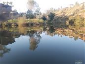 云南省,楚雄州,大姚县,赵家店乡,打苴基村