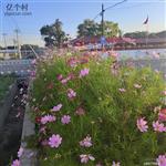 内蒙古,呼和浩特市,和林格尔县,舍必崖乡,黑麻洼村