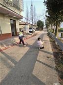 湖南省,益阳市,沅江市,南大膳镇,合利红村