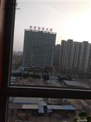 山东省,淄博市,桓台县,果里镇,前鲁村