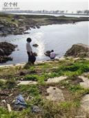 湖南省,益阳市,沅江市,南大膳镇,合利红村