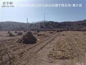 辽宁省,朝阳市,龙城区,半拉山街道,半拉山村